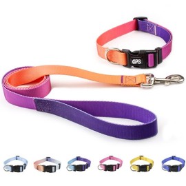 3/4 " Width Gradient Nylon Pet Collar with Traction Rope