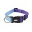 3/4 " Width Gradient Nylon Pet Collar with Traction Rope