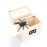 3 3/4 " Trick Wooden Box