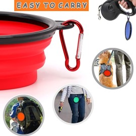 Foldable Pet Silicone Feeding Bowl