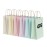 Paper Carrier Bag