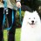 Dog Poop Trash Bag Holder