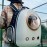 Outdoor Portable Transparent Pet Cat Backpack