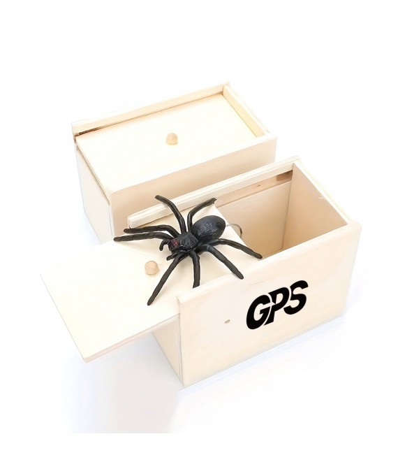 3 3/4 " Trick Wooden Box