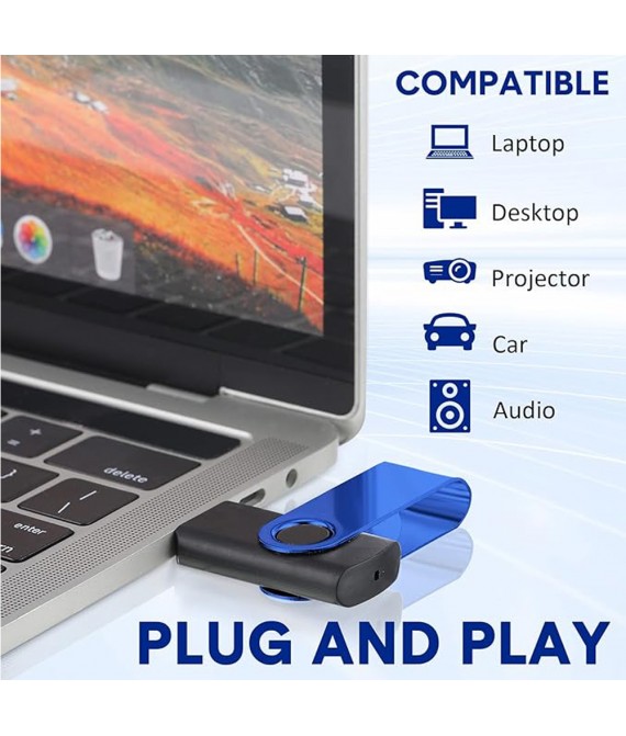 USB Swivel Drive