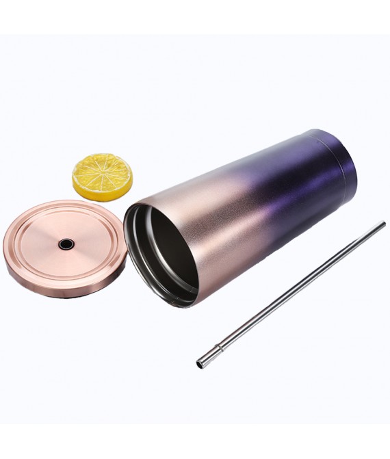 Double Layer Stainless Steel Straw Cup