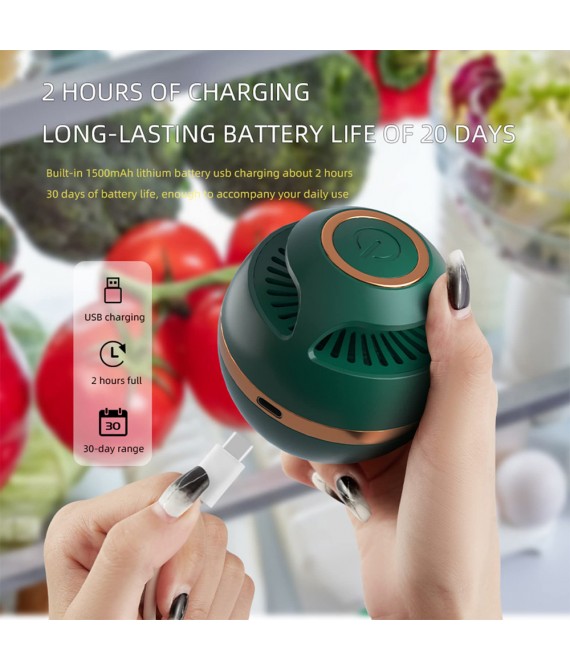 USB Rechargeable Home Air Purifier