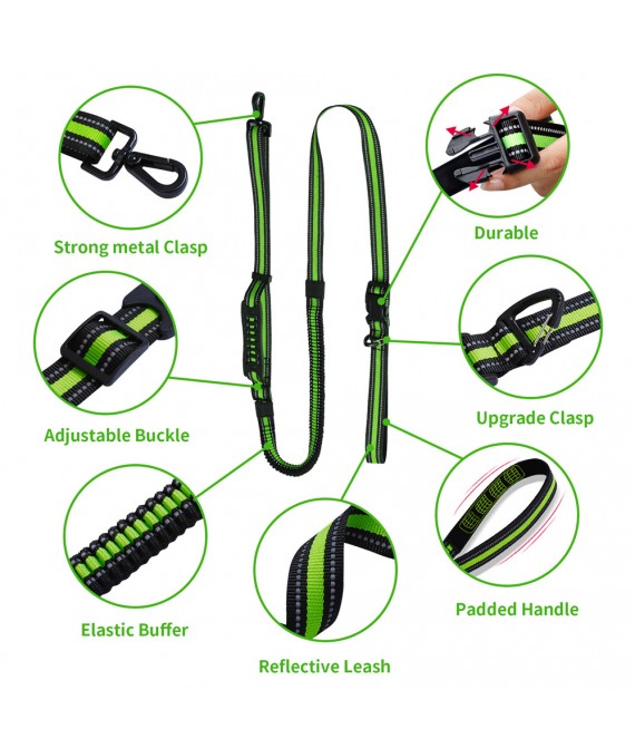 Retractable Multifunctional Nylon Pet Leash